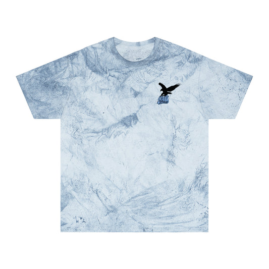 Color Blast Unisex T-Shirt, Artful Tee, Casual Graphic Wear, Gift for Him/Her, Unique T-Shirt, Trendy Fashion Statement
